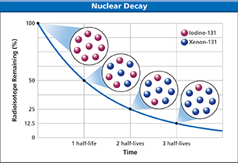 Graph titled "Nuclear Decay" to show time in relation to radioisotope remaining, giving in percentages. Per the graph, the radioisotope remaining decreases as time moves forward.