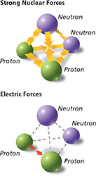 Diagram of two structures that represent strong nuclear forces and electric forces by depicting a series of neutrons and protons.