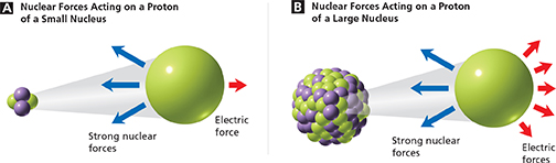 Two diagrams that depict nuclear forces in relation to the nucleus of an atom.