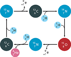 Diagram of elements as part of a rectangular shape. It depicts the carbon-nitrogen-oxygen cycle.