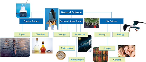 Diagram showing the different topics within the discipline of Natural Science, including physical, earth and space, and life sciences.