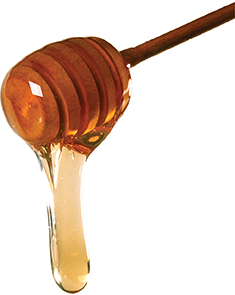 Honey dripping off a stick.