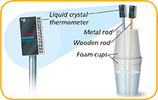 Images of two liquid crystal thermometers. One thermometer is attached to the top of a metal rod, and the other to the top of a wooden rod. Both rods are placed within foam cups that are filled with water. 