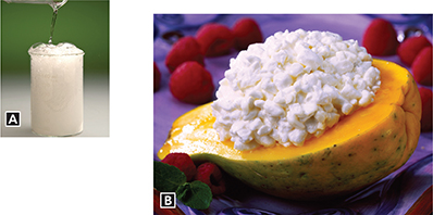 Two photos used to represent chemical reactions between acids and bases. First photo depicts the contents of a beaker. Second photo shows cottage cheese on top of cantaloupe. 