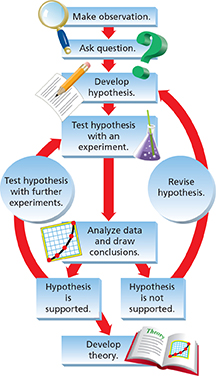 Diagram to depict the processes involved in the scientific method. 