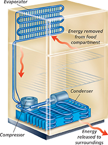 Diagram of the inside of a refrigerator, illustrating how energy is removed from the food compartment and released to an evaporator, which relies on a compressor at the bottom of the refrigerator to release energy to the surroundings.