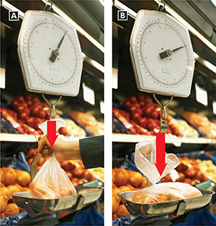 Photo of two scales used to weigh produce in a supermarket. The scales show different weights when the person's hand holds the produce, versus when there is no hand holding the produce, showing relative weight.