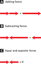 Diagram representing how forces can be added, subtracted, and equal in size or opposite in direction.