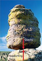 Photo of a bolder standing on top of another boulder. The top boulder has an arrow pointing down titled Gravity. The bottom boulder has an arrow pointing up titled Support force. 