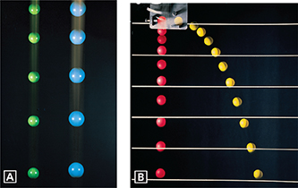 Two photos of balls being dropped. First set of balls fall straight down in a vertical line. Second set of balls fall down, but in a curved line.