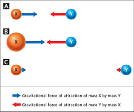 A diagram of two balls labeled X and Y, one on the left the other on the right.  Arrows in between them, pointing to each other, illustrate the attractive force of gravity between two objects.