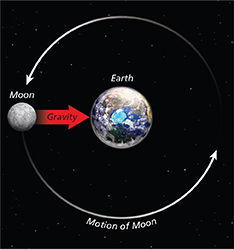 Illustration of the earth and the moon with labeled arrows that show the motion of the moon around the earth, and the gravity that pulls the moon towards the earth. 
