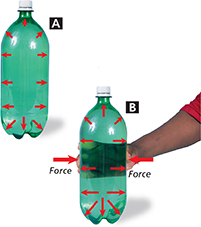 Image of two large bottles, each shown with arrows to indicate the pressure being exerted. 
Bottle A has equal pressure at any given depth inside the bottle.  
 Bottle B is squeezed by a hand, and the pressure is equally transmitted throughout the fluid.

