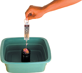 A rock tied with a string is attached to one end of a spring scale and partly submerged in a  plastic tub filled with water. A hand holds up the spring scale.