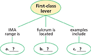 A concept map of four circles. The main circle has "First class lever" written in it.  The other three circles a, b, c contain no information, just question marks.  You can fill in information such as:  
• The IMA range
• Where the fulcrum is located
• Examples of first-class levers
