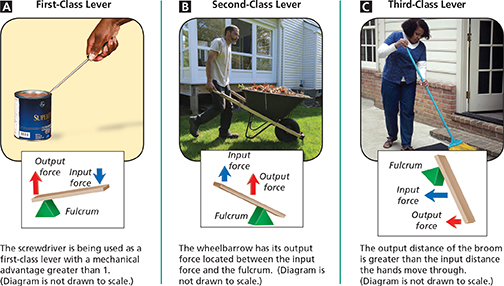 A diagram of three people using three different types of levers. 