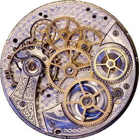The gears inside a watch.