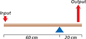 A diagram of a lever with a fulcrum, showing the input (downward pointing arrow) measured at sixty centimeters, and output (upward pointing arrow) measured at twenty centimeters.  You will use this diagram to answer questions 26 and 27.