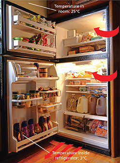 A refrigerator with its door open., revealing its content.  Arrows show air being circulated from the room into the refrigerator and from the bottom of the refrigerator into the room.   