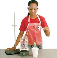 A girl conducting the lab experiment to determine the specific heat of aluminum and steel.