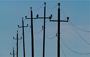 A group of  telephone poles. The power lines are sagging in between each pole. 