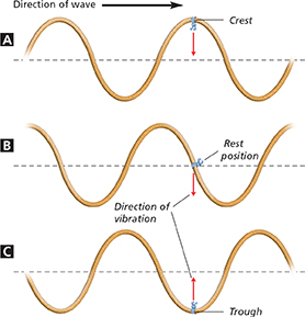 Three diagrams of a transverse wave labelled A, B, and C.
