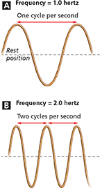 Two images of a transverse wave labeled A and B.
Image A: The wave travels at the frequency of 1 cycle per second.
Image B: The waves are more compressed, and travel at the frequency of 2 cycles per second.