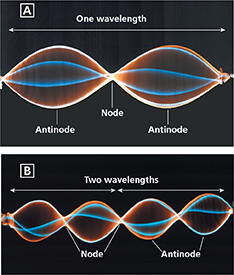 A  standing wave.  The node and antinode is identified