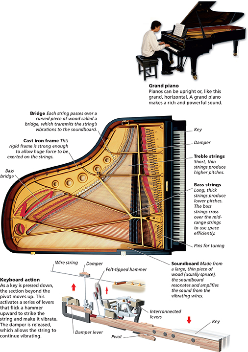 A  musician playing the piano and a diagram of the different parts of a piano and how they work together to produce a different note at a different volume depending on the key you press.  