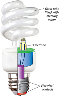 A diagram of a fluorescent light bulb, with a drawing to denote the electrode and electrical contacts contained within and the glass tube filled with mercury vapor that is in a spiral shape.