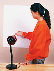 A girl shining a lamp on a large sheet of white paper on a wall.