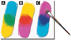 A canvas with three different areas of paint samples, each containing three colors.  Sample A is blue, green and yellow.  Sample B is yellow, red and magenta.  Sample C is magenta, violet and blue.