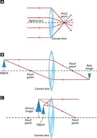 A diagram showing how convex lenses work to form either a real or virtual image. 


