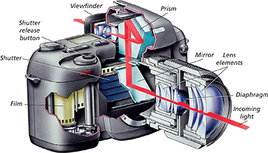 A diagram of a modern single lens reflex camera (SLR) illustrating how it forms an image on film.