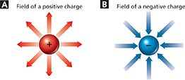 A diagram of two balls, one in an  electric field of a positive charge and the other in an electric field of a negative charge. 