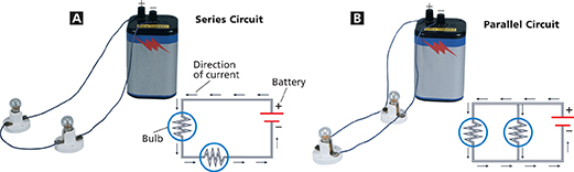 A circuit diagram showing a series circuit and a parallel circuit with two bulbs connected by wires to a battery.