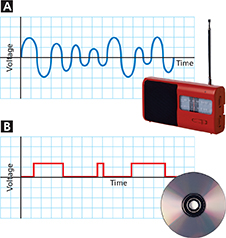 A ohoto that shows the differences between an analog signal from a radio to a digital signal from a CD.  The analog wave is curved with waves close to one another. The digital wave  is shaped more like a square, and further apart.  