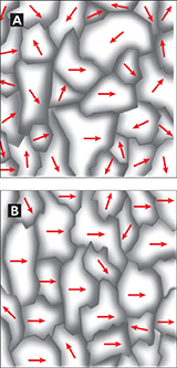 • A diagram showing the difference in the  magnetic domains of a non-magnetized iron versus a magnetized iron.

• When a material is magnetized, most of its magnetic domains are aligned. However, Figure 5A shows the random orientation of domains in a non-magnetized iron.  

• Figure B shows the alignment of magnetic domains in a magnetized iron.  The magnetic field causes the domains to align and the field grows larger.

