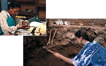 Two female archeologists at work.  One is inside an office taking notes on a fossil skull , while the other is working on an excavation site excavating fossils in an exposed wall.