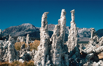 A group of rocks that grow in a vertical shape resembling ice cycles.  They are chemical rocks covered with thick layers of precipitated salt.