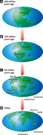 A diagram illustrating Wegener’s hypothesis, of how the Earth's surface changed due to the process of continental drift.