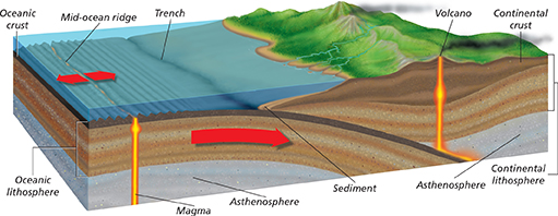 The diagram illustrates the process of sea-floor spreading, showing how new oceanic crust is created at mid-ocean ridges as the older crust is moved away.


