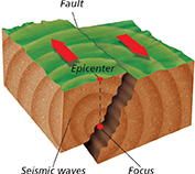 A diagram of what happens beneath the surface of the Earth during an earthquake.  The earthquake begins at the focus beneath the surface of the Earth.  The epicenter is the location on the surface that is directly over the focus.  Seismic waves move out in all directions during the earthquake.  