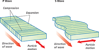 A diagram illustrating the difference between a P wave and a S wave.  