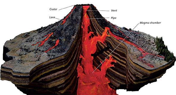 A diagram showing the structure of a volcano and how it erupts and has the following labels: Crater, Lava, Vent, Pipe, and Magma chamber.