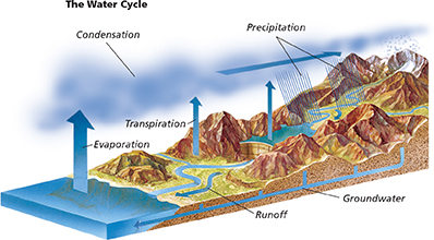 A diagram of the water cycle. The processes involved are evaporation, transpiration, condensation, precipitation, and the eventual return of flowing water to the ocean. The diagram also shows run off and ground water reserves. 
