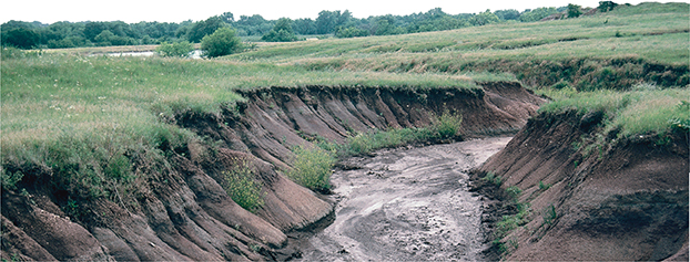 A winding stream in a field.  The stream is the result of gravity and flowing water causing erosion.
