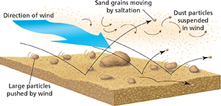 A diagram that shows how wind causes erosion. 