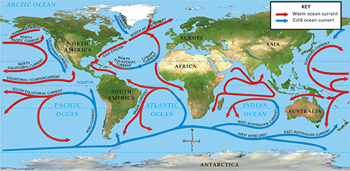 A world map showing the patterns of flow in the Earth's oceans. There are warm ocean currents and cold ocean currents.