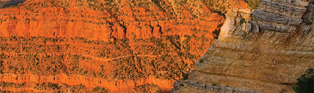 The rock layers of the Grand Canyon.  They have been deposited horizontally.